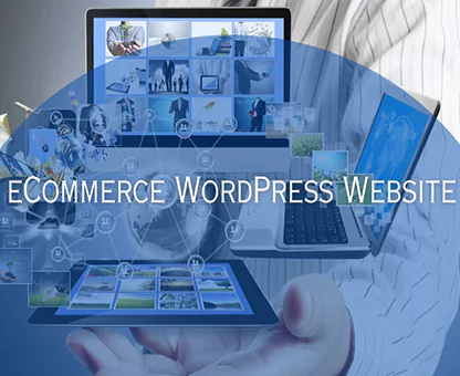 E-commerce wordpress website